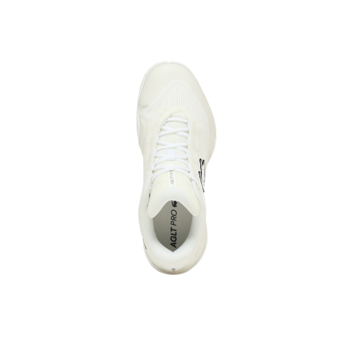 حذاء تنس منخفض الارتفاع للرجال - مراجعة Men Shoes Lacoste وسعره