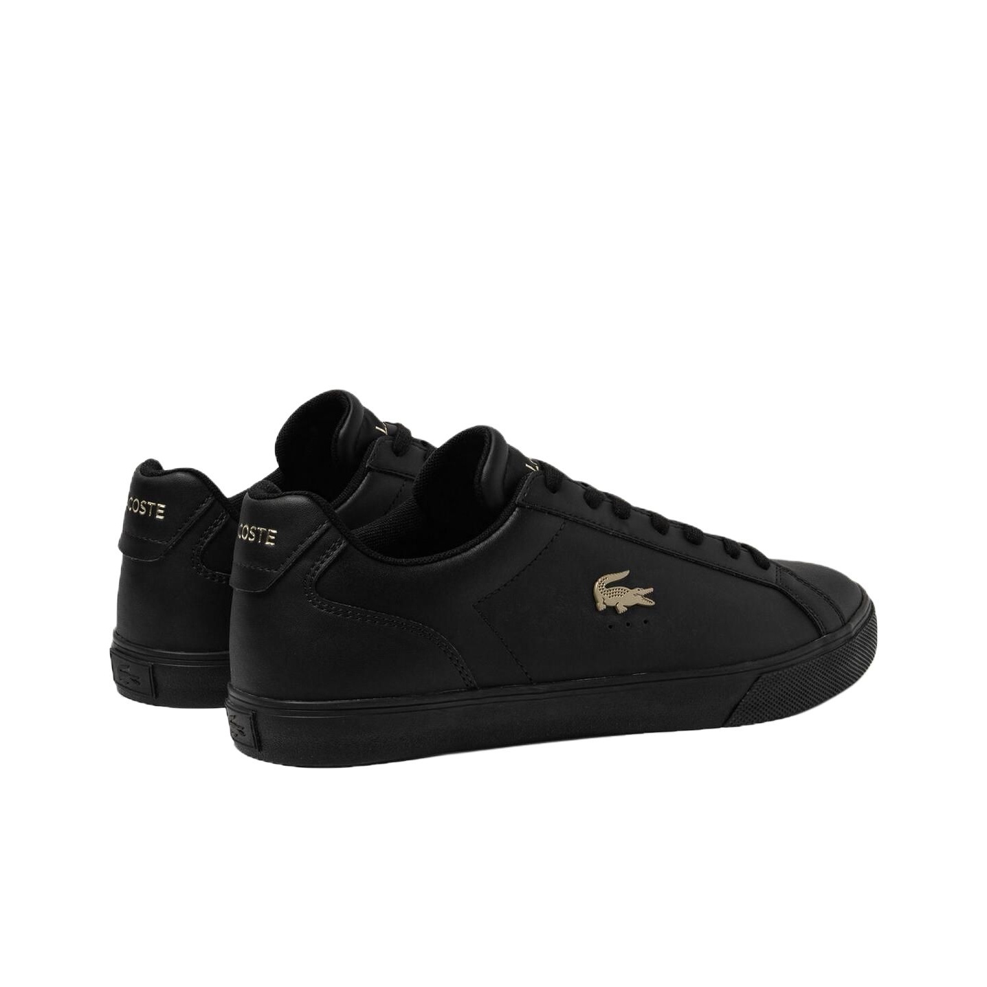 حذاء لاكوست منخفض الرقبة للرجا - مراجعة Men Shoes Lacoste وسعره